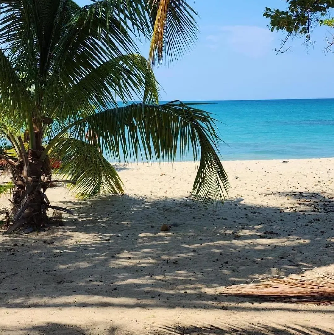 Aquatika Paraiso Tropical Loiza 波多黎各
